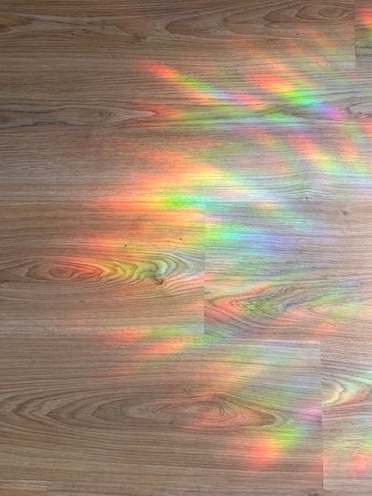 Dragon suncatcher statisch sticker. Regenboog sticker.